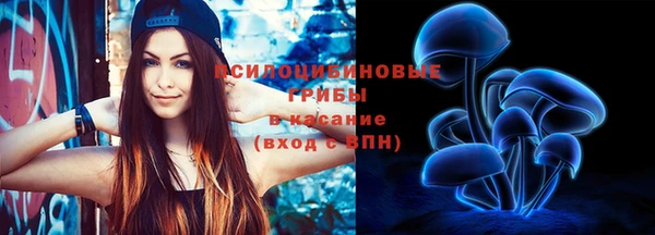 бошки Нея