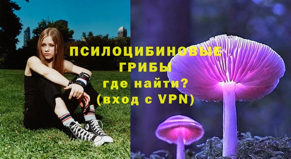 бошки Нефтекумск