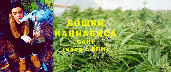 бошки Нея
