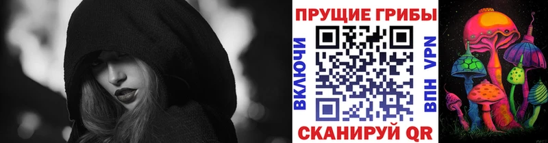 Галлюциногенные грибы Psilocybine cubensis  Купить  Кулебаки 